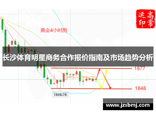 长沙体育明星商务合作报价指南及市场趋势分析